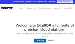 DigiRDP：继续努力$10/年，洛杉矶/纽约VPS，1G内存/1核/15g硬盘/1T流量/1Gbps带宽-大耳狗