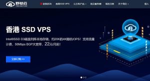 野草云(yecaoyun)：香港VPS 79元/年起(500Mbps国际带宽)，香港物理服务器299元/月起(30M带宽/3*IPv4)-大耳狗